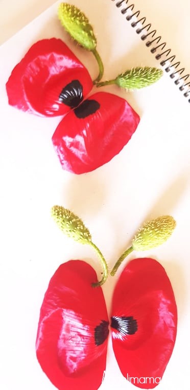 Πεταλούδες από παπαρούνες