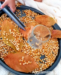 Φθινοπωρινή δραστηριότητα με φύλλα δέντρων!