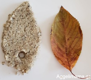 Κρεμαστά φύλλα με άμμο και αλάτι!