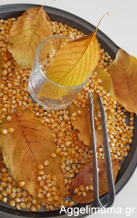 Φθινοπωρινή δραστηριότητα με φύλλα δέντρων!