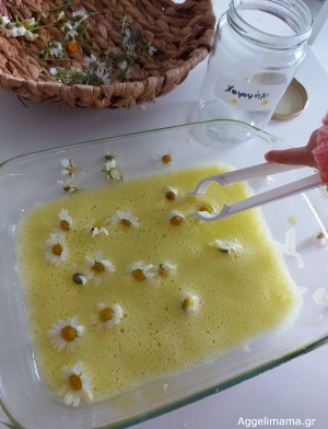 Δραστηριότητα χαμομηλιού 