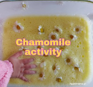 Δραστηριότητα χαμομηλιού !