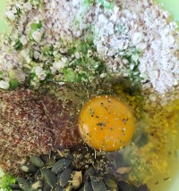 Υγιεινά πολύσπορα κράκερ κολοκυθιού !