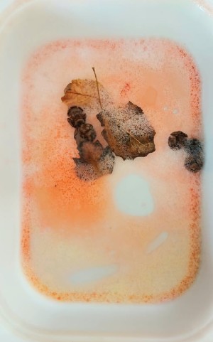 2 εύκολες sensory φθινοπωρινές δραστηριότητες