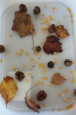 2 εύκολες sensory φθινοπωρινές δραστηριότητες