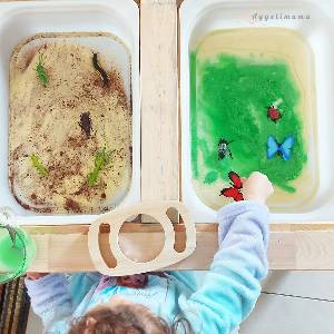 Εξερευνώντας τα έντομα !