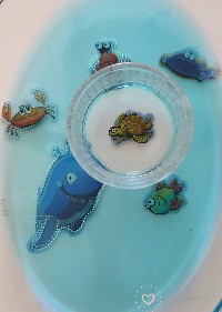 Πως θα φτιάξεις ενυδρείο με 1 ευρώ;