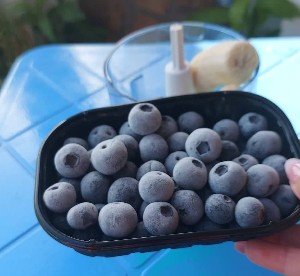 Παγωτό με μύρτιλα με 2 υλικά !