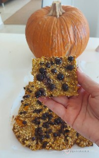 Υγιεινές μπάρες με γλυκιά κολοκύθα!